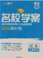 2020年名校学案高效课时练八年级历史下册人教版答案