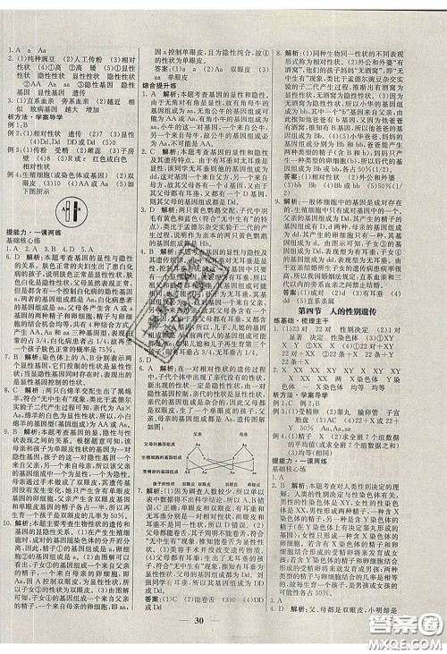 云南科技出版社2020年名校学案高效课时练八年级生物下册人教版答案 云南科技出版社2020年名校学案高效课时练八年级生物下册人教版答案