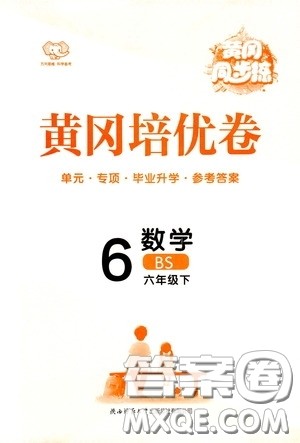 2020年黄冈同步练黄冈培优卷数学6年级下册BS北师版参考答案