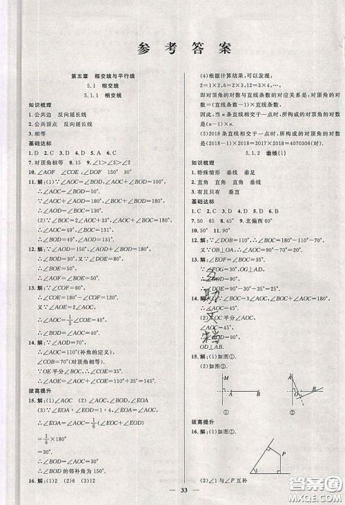 2020年春高分计划中考版创新作业七年级数学下册人教版答案