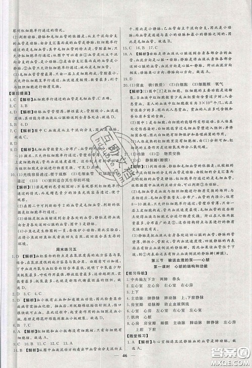 2020年春高分计划中考版创新作业七年级生物下册人教版答案