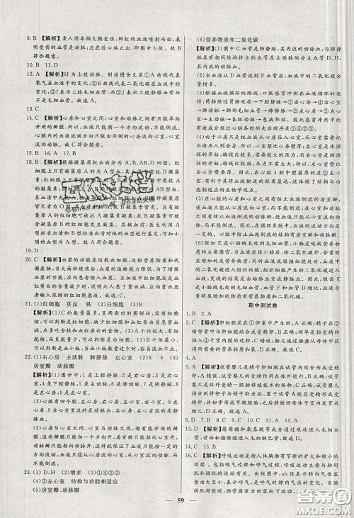 2020年春高分计划中考版创新作业七年级生物下册人教版答案