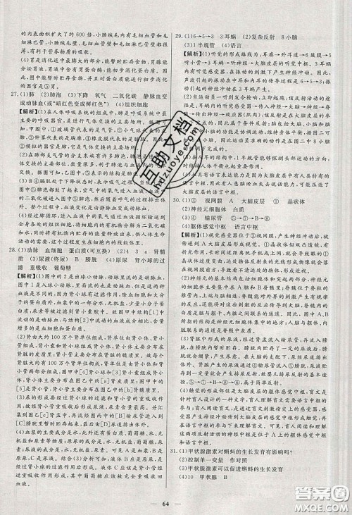 2020年春高分计划中考版创新作业七年级生物下册人教版答案