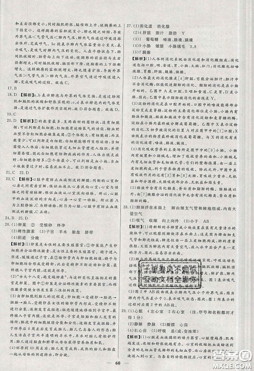 2020年春高分计划中考版创新作业七年级生物下册人教版答案