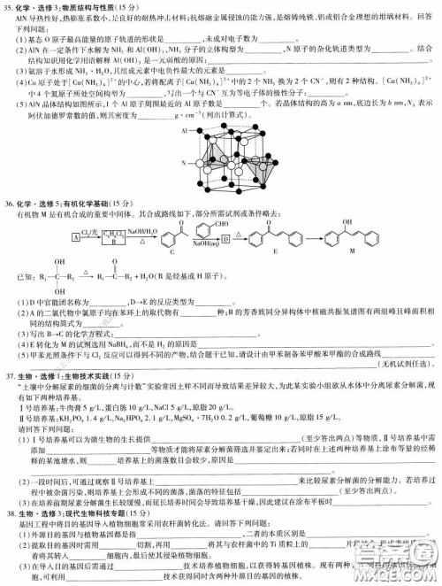 2020年天一大联考高考全真模拟卷五理科综合试题及答案