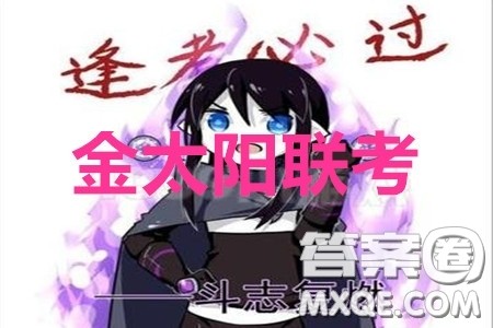 2020届金太阳高三全国百万联考6002C理科数学试题及答案 2020届金太阳高三全国百万联考6002C理科数学试题及答案