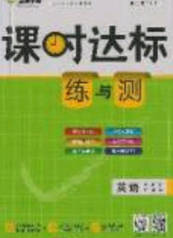 2020年课时达标练与测九年级英语下册冀教版答案 2020年课时达标练与测九年级英语下册冀教版答案