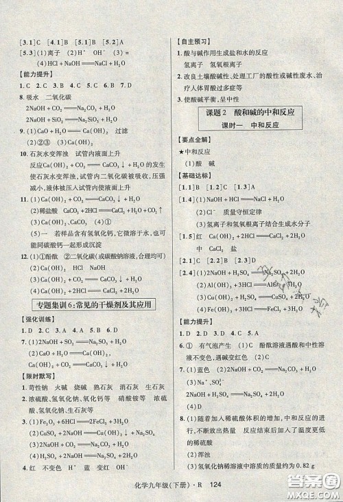 2020年高分突破课时达标讲练测九年级化学下册人教版答案