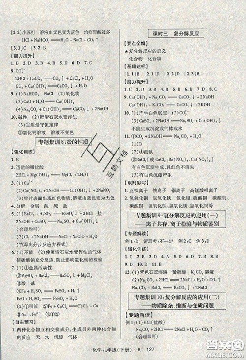 2020年高分突破课时达标讲练测九年级化学下册人教版答案