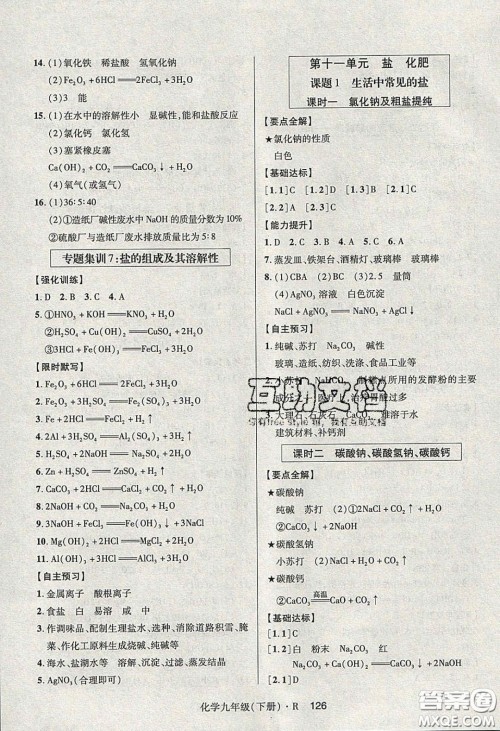 2020年高分突破课时达标讲练测九年级化学下册人教版答案