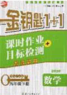 2020金钥匙1加1课时作业加目标检测九年级数学下册江苏版答案