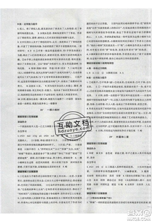 2020年名校秘题全程导练导学案七年级语文下册人教版答案