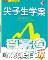 吉林人民出版社2020春尖子生学案七年级数学下册人教版答案