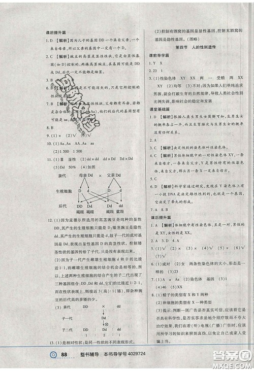 2020年中考123全程导练八年级生物学下册人教版答案