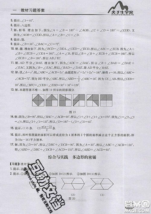 吉林人民出版社2020春尖子生学案七年级数学下册青岛版答案 吉林人民出版社2020春尖子生学案七年级数学下册青岛版答案