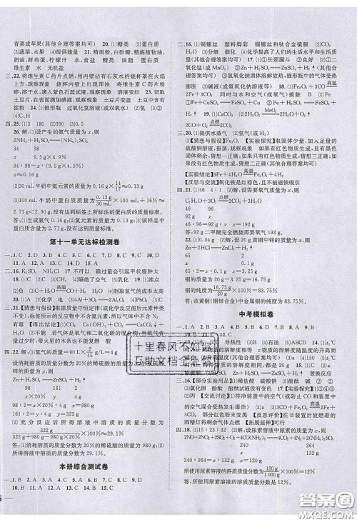 2020年名校秘题全程导练导学案九年级化学下册鲁教版答案