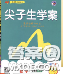 吉林人民出版社2020春尖子生学案七年级数学下册华师版答案 吉林人民出版社2020春尖子生学案七年级数学下册华师版答案