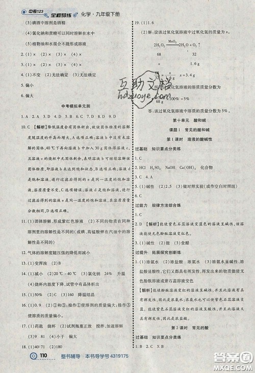 2020年中考123全程导练九年级化学下册人教版答案