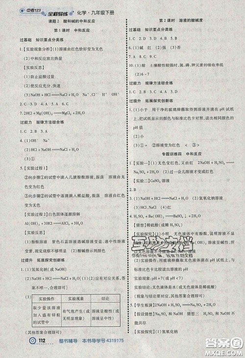 2020年中考123全程导练九年级化学下册人教版答案