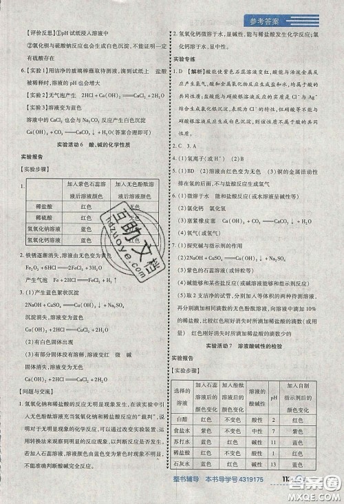 2020年中考123全程导练九年级化学下册人教版答案