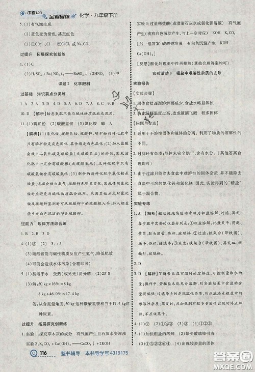 2020年中考123全程导练九年级化学下册人教版答案