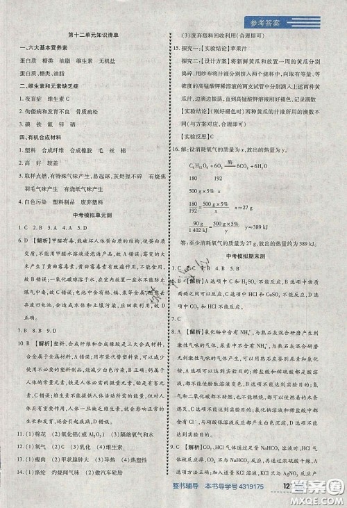 2020年中考123全程导练九年级化学下册人教版答案