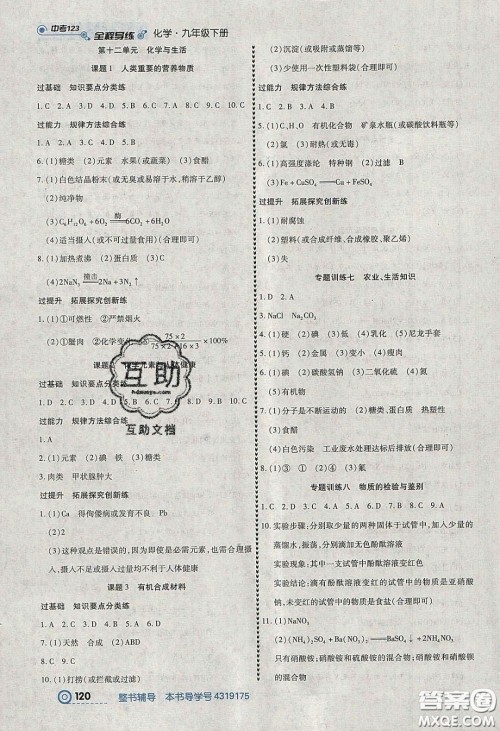 2020年中考123全程导练九年级化学下册人教版答案