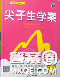 吉林人民出版社2020春尖子生学案七年级英语下册人教版答案