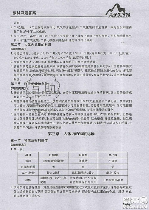 吉林人民出版社2020春尖子生学案七年级生物下册济南版答案