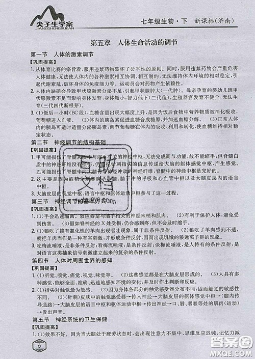 吉林人民出版社2020春尖子生学案七年级生物下册济南版答案