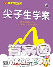 吉林人民出版社2020春尖子生学案七年级道德与法治下册人教版答案 吉林人民出版社2020春尖子生学案七年级道德与法治下册人教版答案