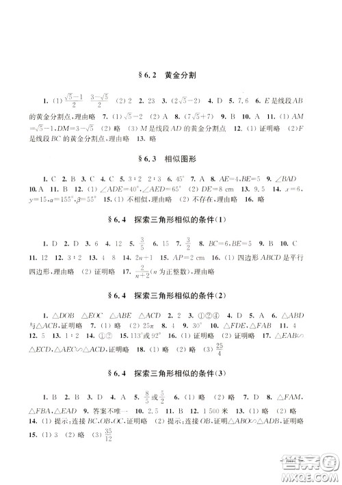 2020年课堂追踪九年级下册数学参考答案