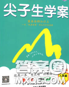 吉林人民出版社2020春尖子生学案八年级数学下册人教版答案