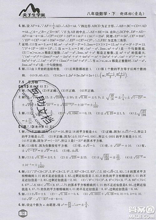 吉林人民出版社2020春尖子生学案八年级数学下册青岛版答案 吉林人民出版社2020春尖子生学案八年级数学下册青岛版答案