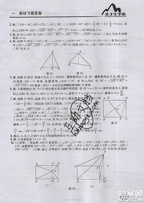 吉林人民出版社2020春尖子生学案八年级数学下册青岛版答案