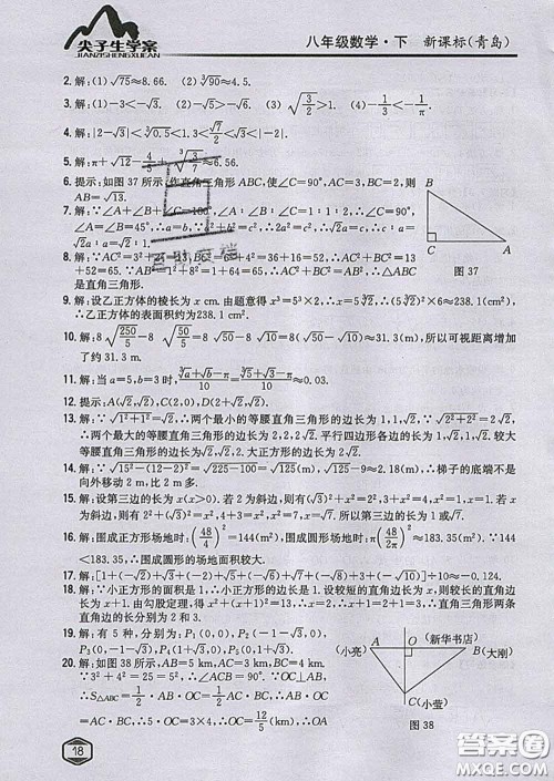 吉林人民出版社2020春尖子生学案八年级数学下册青岛版答案