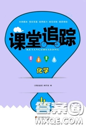 2020年课堂追踪九年级下册化学参考答案