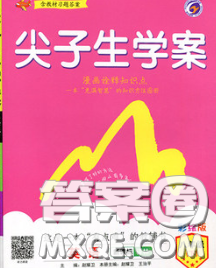 吉林人民出版社2020春尖子生学案八年级英语下册人教版答案