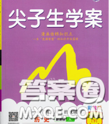 吉林人民出版社2020春尖子生学案八年级历史下册人教版答案