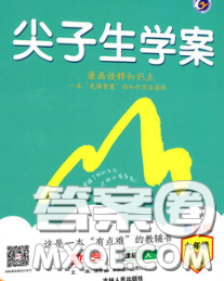 吉林人民出版社2020春尖子生学案九年级数学下册人教版答案