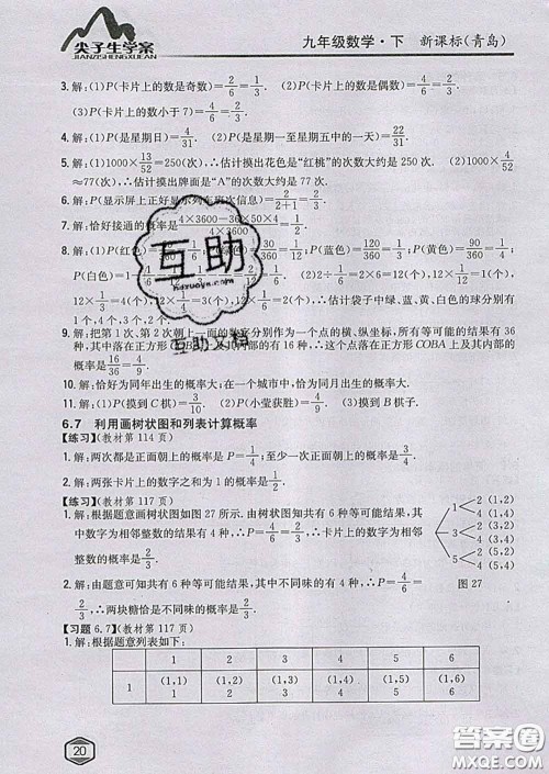 吉林人民出版社2020春尖子生学案九年级数学下册青岛版答案