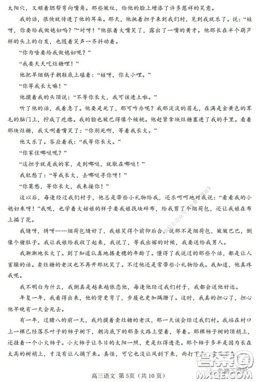 2020年驻马店市高三年级3月线上模拟测试语文试题及答案