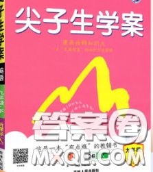 吉林人民出版社2020春尖子生学案九年级英语下册人教版答案