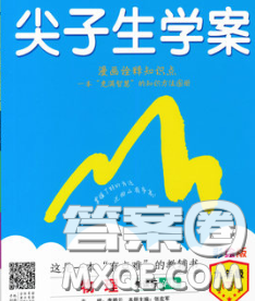 吉林人民出版社2020春尖子生学案九年级物理下册人教版答案