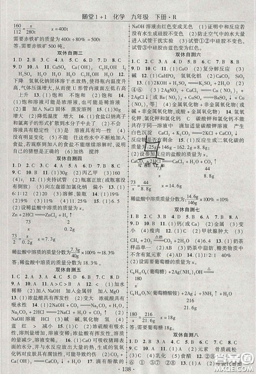 海韵图书2020年春随堂1+1导练九年级化学下册人教版答案