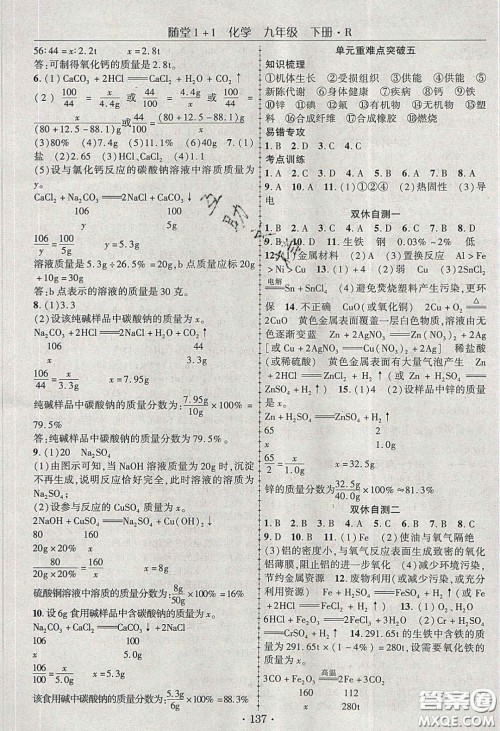 海韵图书2020年春随堂1+1导练九年级化学下册人教版答案