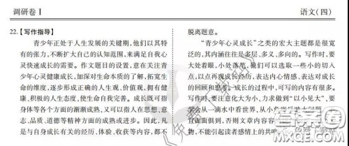 2020年衡水金卷先享题调研卷四语文参考答案