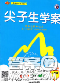 吉林人民出版社2020春尖子生学案九年级化学下册沪教版答案