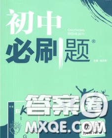 开明出版社2020春初中必刷题九年级历史下册人教版答案 开明出版社2020春初中必刷题九年级历史下册人教版答案