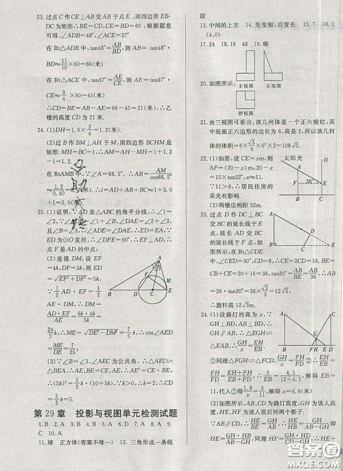 2020乐学课堂课时学讲练九年级化学下册人教版答案